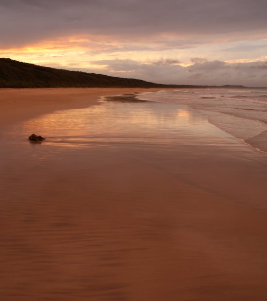 The Journey to Motherhood