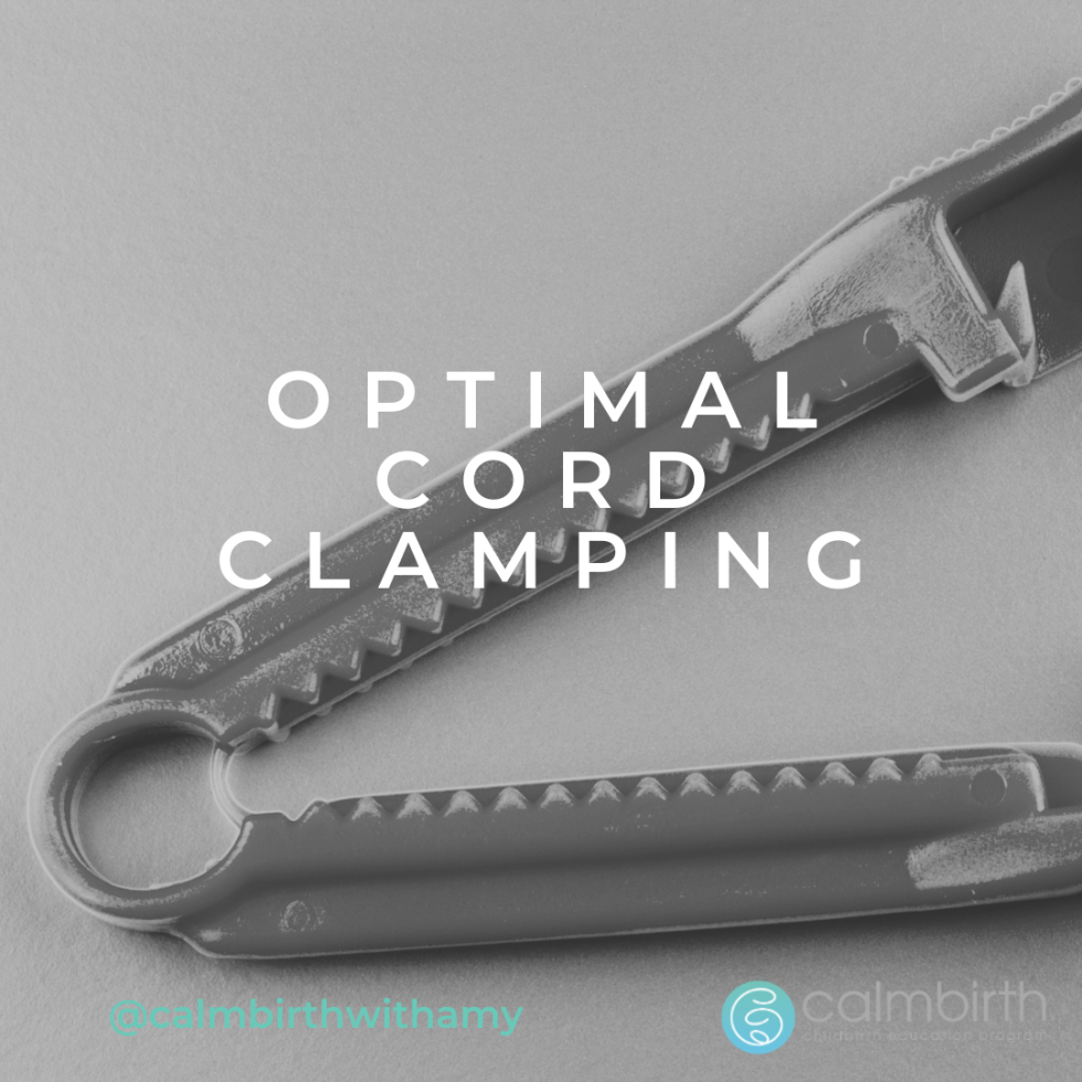 Honouring Optimal Cord Clamping Calmbirth