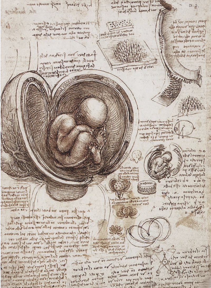 Navigating the Art and Science of Birth in Today’s Complex Maternity Care System